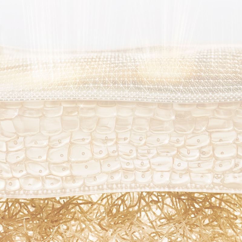 <p style="text-align: center;font-size:25px;line-height:28px;"><strong>STRATUM SPINOSUM
</strong></p>
<p style="text-align: center;font-size:18px;line-height:28px;">Stratum Spinosum’da önemli bir yenileyici protein olan AQP3, cildin nem seviyelerini yenilemeye yardımcı olmak için desteklenir.
</p>